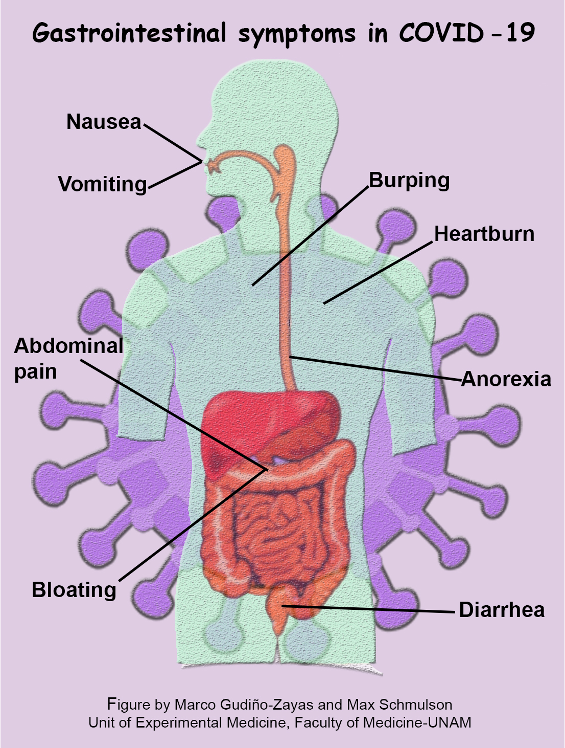 Gastrointestinal Symptoms Can Be Manifestations of COVID-19